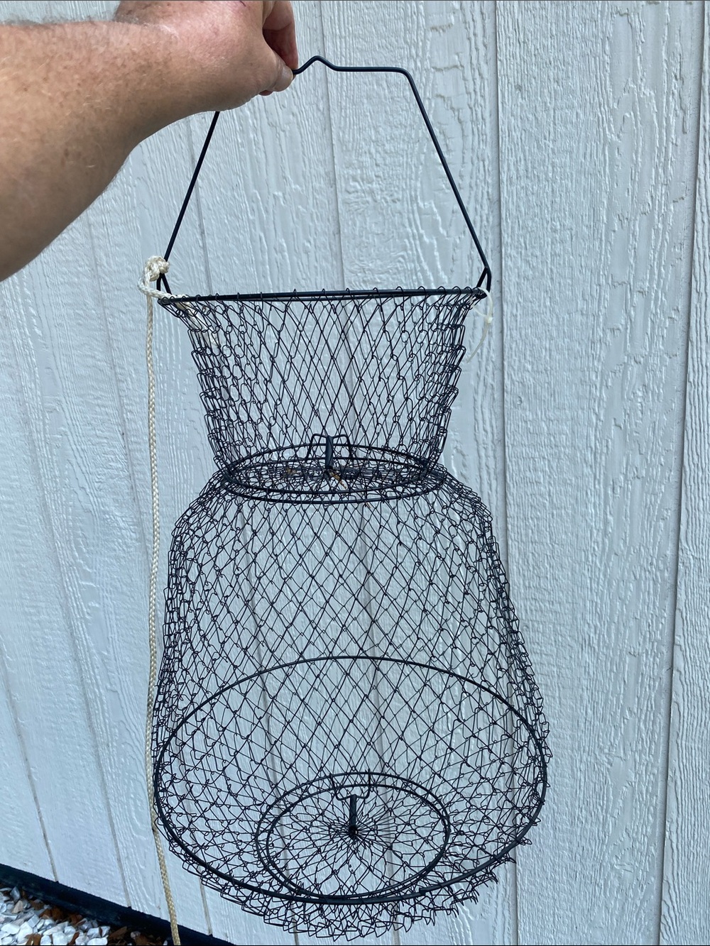 Wire Mesh Minnow Trap